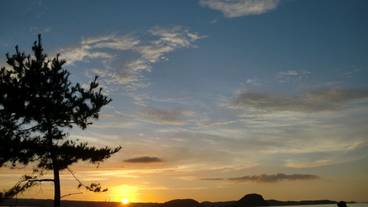 施設からの眺望 / 11