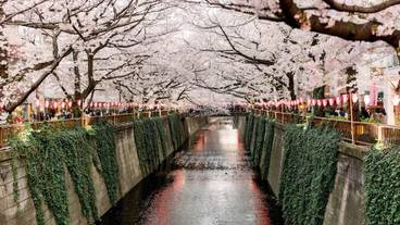 観光スポット / 8