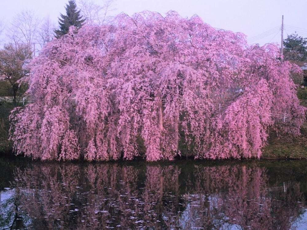 施設からの眺望