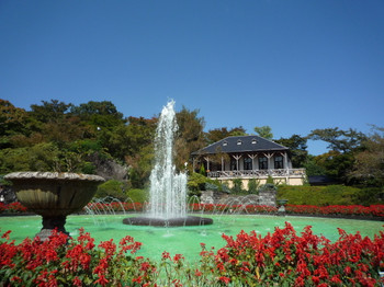 強羅公園の噴水とそれを囲むサルビア