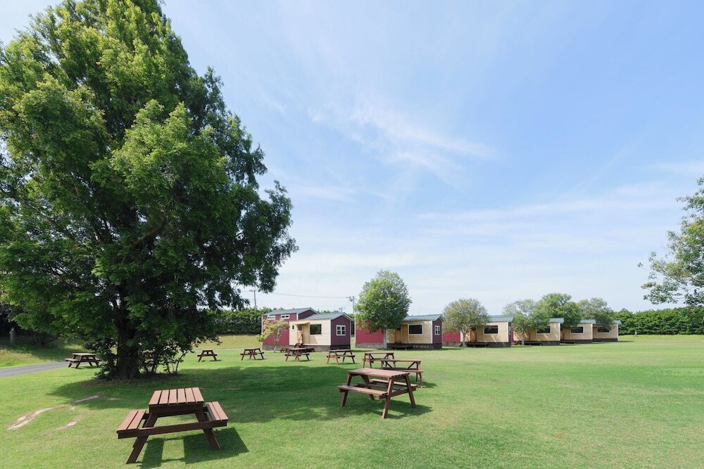 メイン イメージ