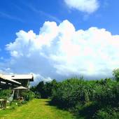 風来荘 Fu-rai-sou(沖縄県 民宿) / 3