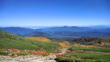 観光スポット / 40