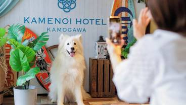 ペット用設備・サービス / 1