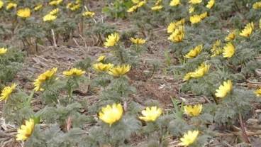 施設の敷地 / 12