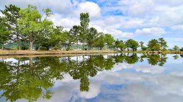 施設からの眺望 / 15