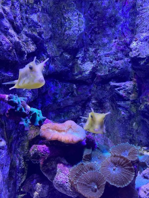 naoe.colonさんの写真 / 4