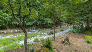 臥龍 離れ 禁煙