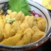 気仙沼で獲れたて海鮮グルメを満喫！地元民のおすすめ5選
