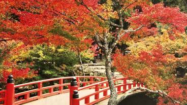 ランド ビュー / 31