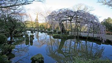 施設内の設備 / 3