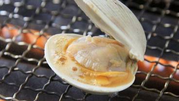 食事・飲み物 / 2