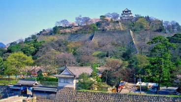 観光スポット / 7