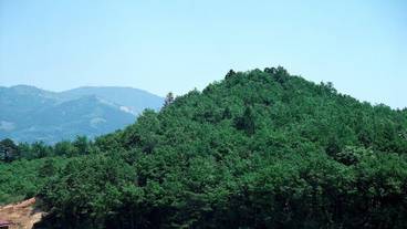 ランド ビュー / 35