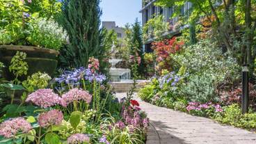 施設の敷地 / 24