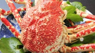 和モダンで愉しむ西伊豆ダイニング 西伊豆 今宵（ワモダンデタノシムニシイズダイニング ニシイズ コヨイ） / 9