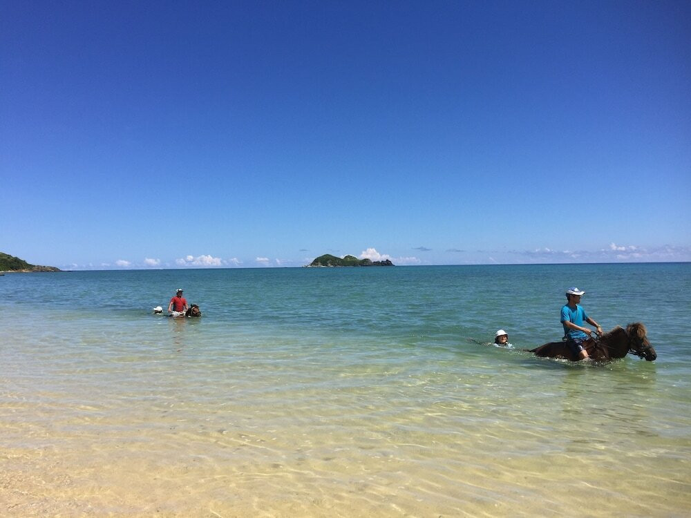 マリンアクティビティ