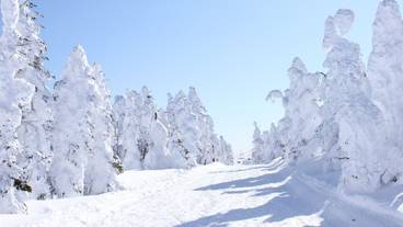 観光スポット / 11