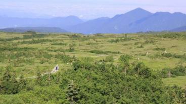 部屋からの景観 / 5