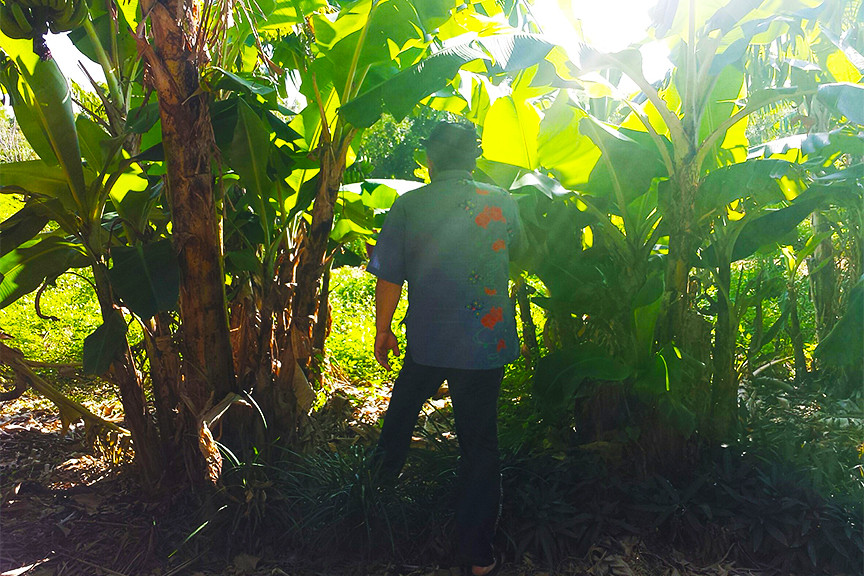 昔ながらの自然に触れ、ほっこり癒される「畑番屋」2337239