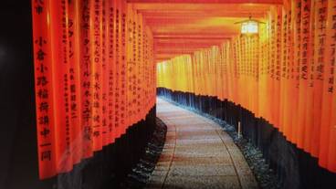 観光スポット / 23