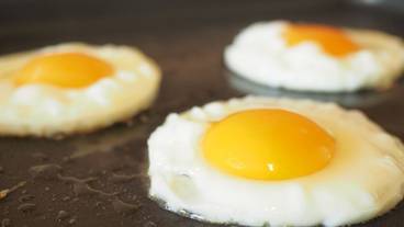 朝食ビュッフェ / 8