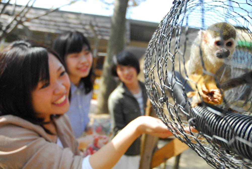 施設内の設備