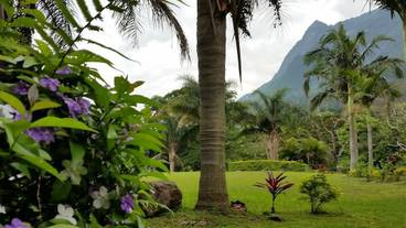 施設からの眺望 / 15