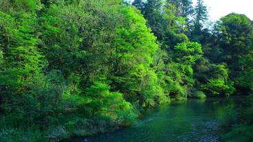 窓から見える自然美 / 12