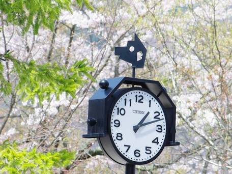 早太郎温泉 駒ヶ根高原リゾートリンクス / 5