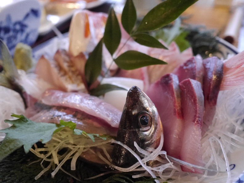 「与謝荘」 料理 49461262 