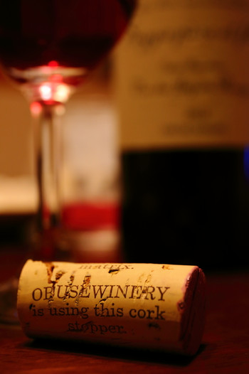 Tips2 ワインと料理のマリアージュを楽しむ818243