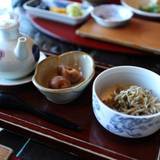 金乃竹(キンノタケ)