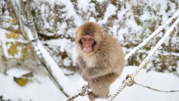 観光スポット / 14