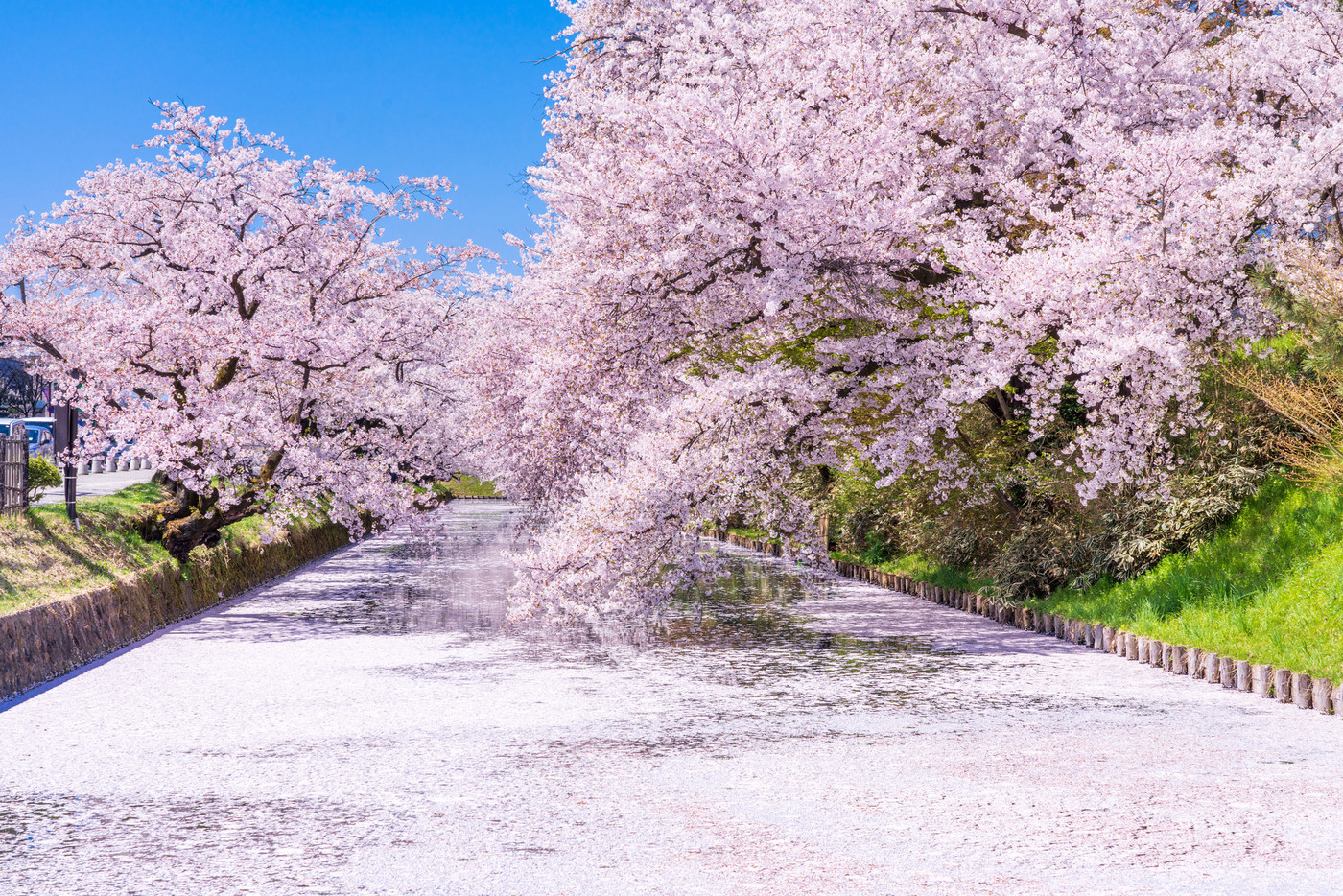 気楽に過ごせる一人旅で、心に癒しを3652966