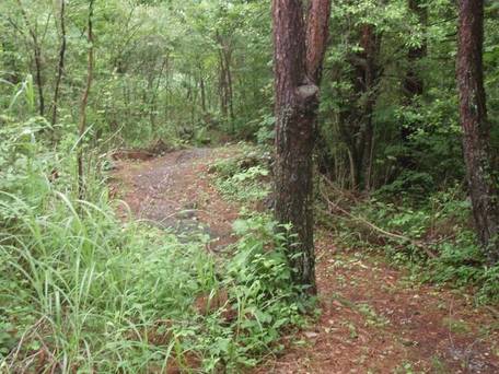 コテージ & キャンプ PICA富士西湖 / 2