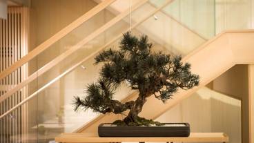 内装の詳細 / 19