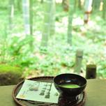 見どころたくさん！自然もたくさん！鎌倉「浄明寺」エリアのおすすめスポット10選／神奈川