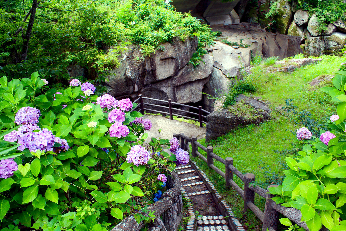 秋の秋保大滝　【宮城県】