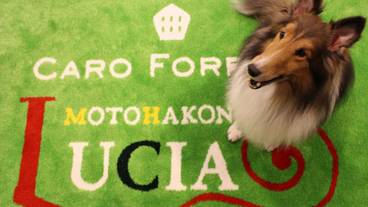 エントランス / 1