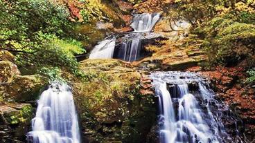 観光スポット / 7