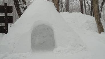 子供用の遊び場 - 屋外 / 3