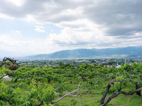 Tabist ホテル虹 笛吹御坂 / 5