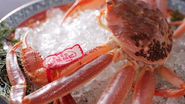 食事・飲み物 / 17