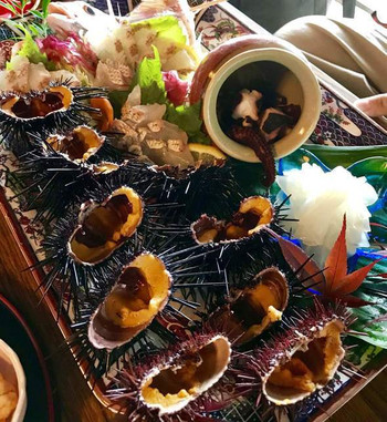 「海女ちゃん食堂　乙姫屋」 料理 109618183 