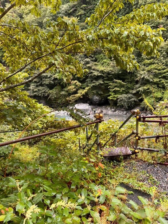 aoyuuzさんの写真 / 4