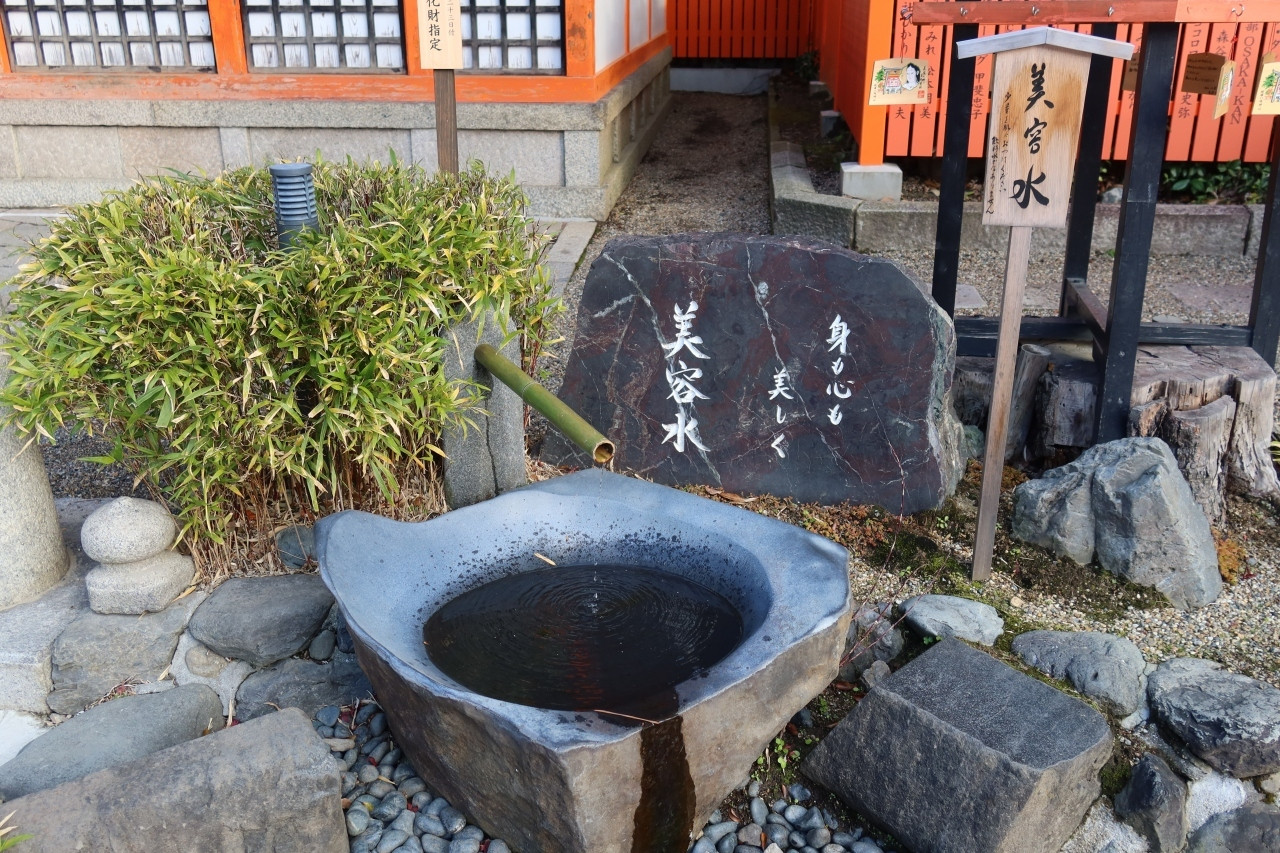 スリングや抱っこがおすすめ◎キャリーでも参拝OK2825565