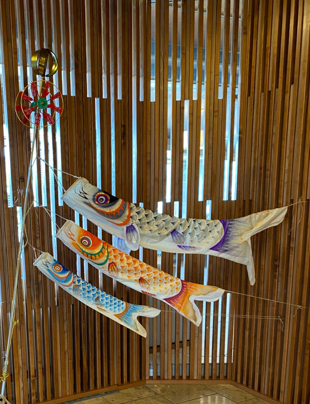 riochi_odekakeさんの写真 / 2