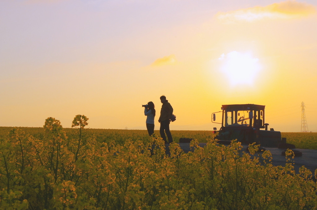 大好きな恋人と2人で富良野を満喫しよう♡4372899