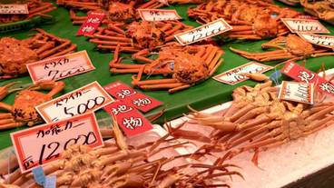 観光スポット / 5